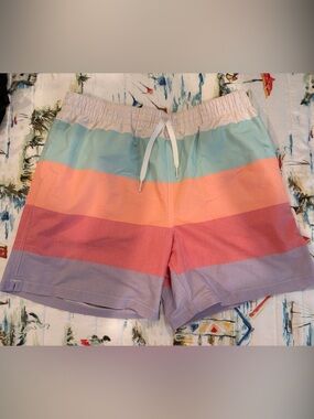 chubbies Striped Pastel Swim Trunks in Mint, Peach, Coral, Lavender